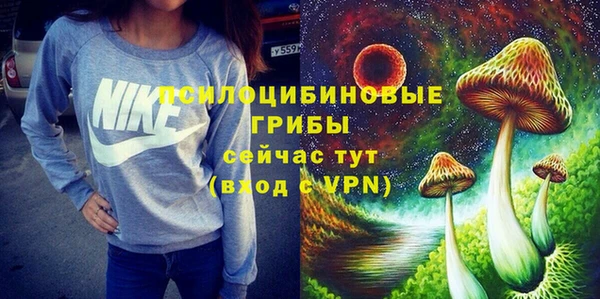 амф Алексеевка