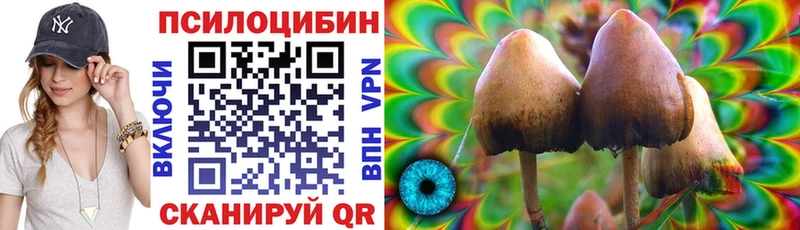 Псилоцибиновые грибы GOLDEN TEACHER Новосиль